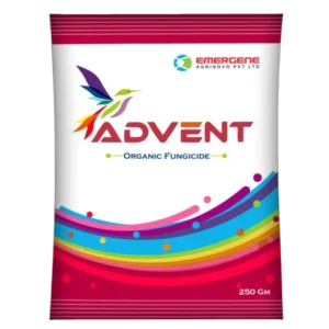 Advent F (Powder)