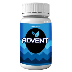Advent F (Liquid)
