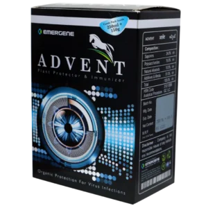 Advent V