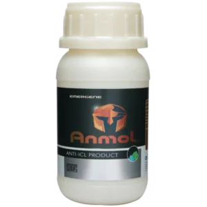 Anmol LC