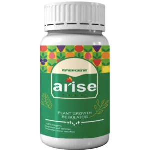 Arise