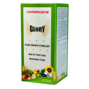 Glory