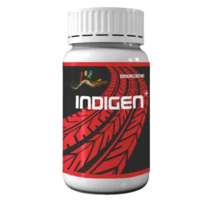 Indigen Plus