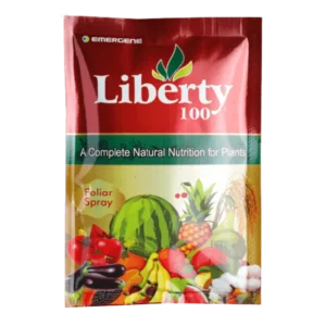 Liberty 100