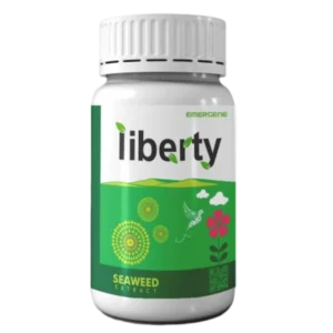 Liberty