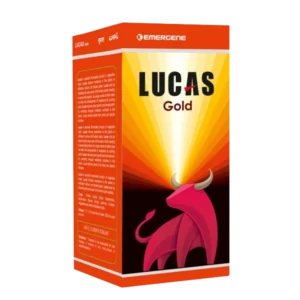 Lucas Gold