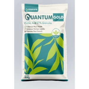 Quantum Gold