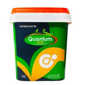 Quantum Grand