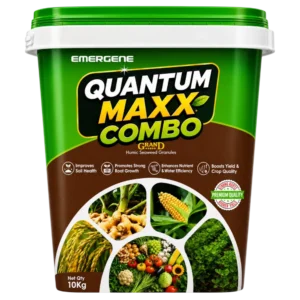 Quantum Maxx