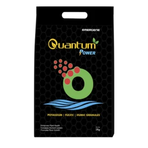 Quantum Power