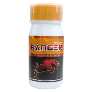 Ranger