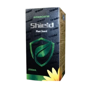 Shield (Liquid)