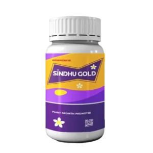 Sindhu Gold