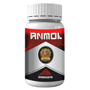 Anmol
